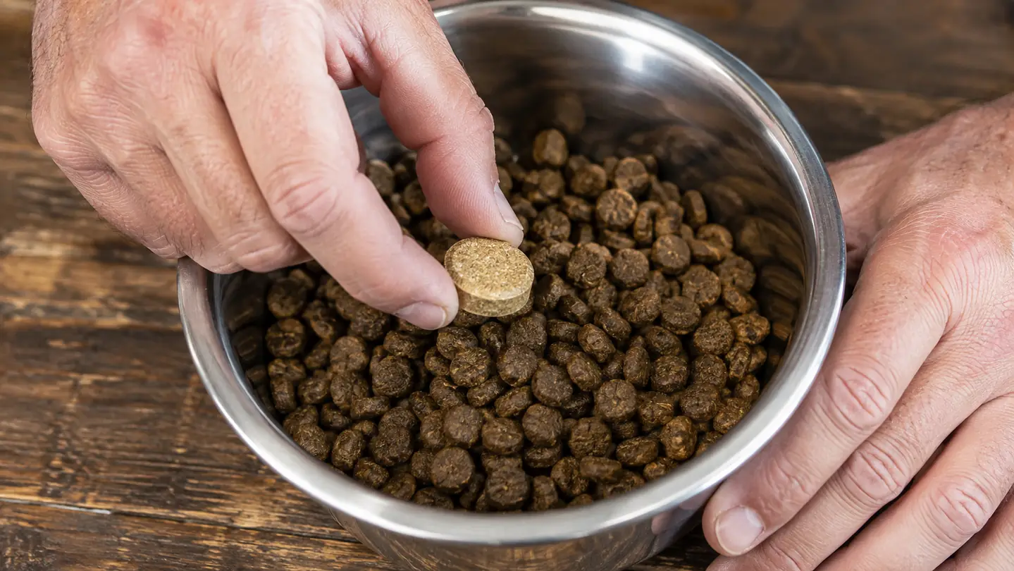 A hand placing a supplement chew tablet on top of kibble in a stainless steel bowl on a kitchen floor