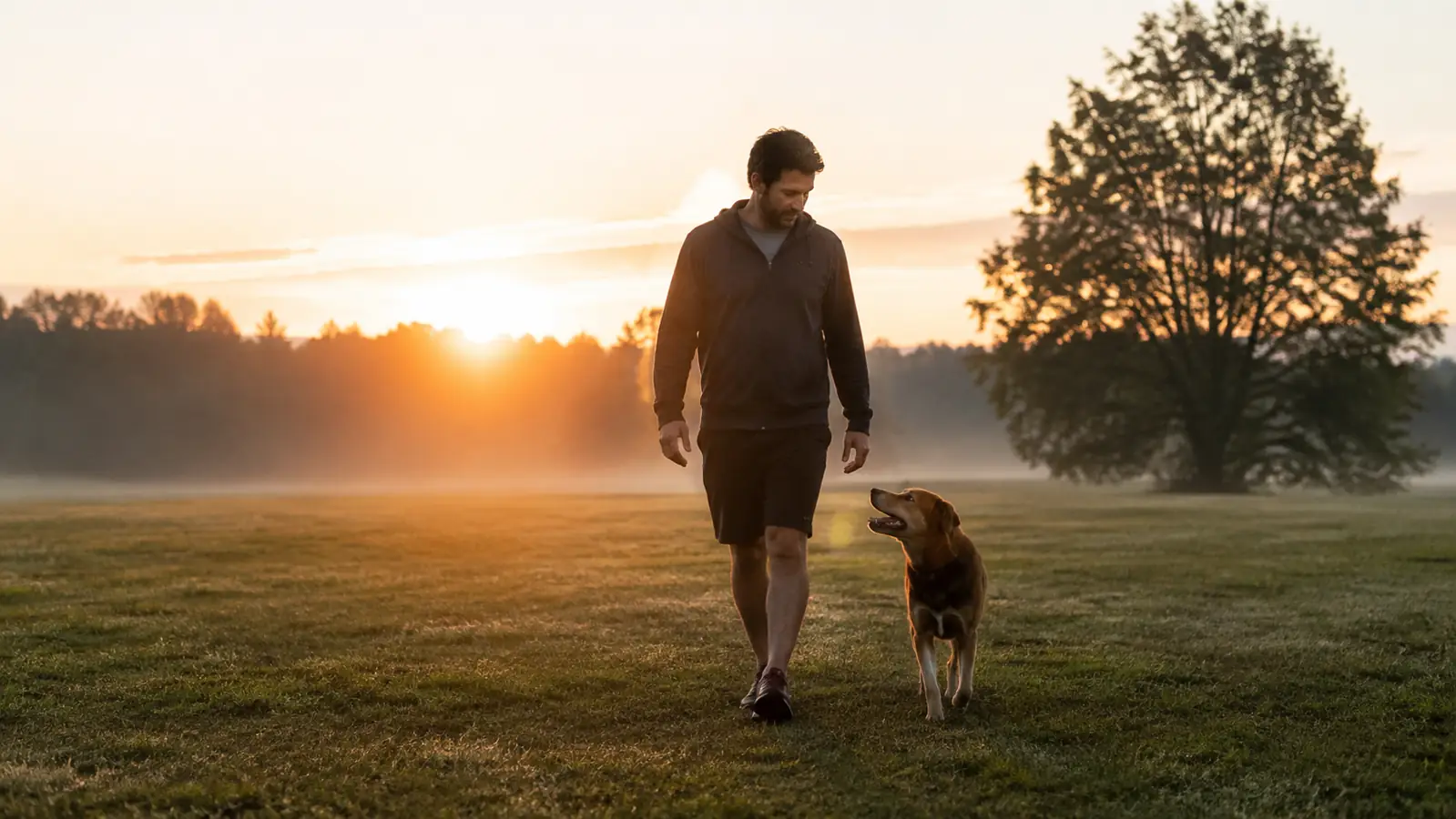 A person walking slowly across a flat grassy yard with a dog at sunrise